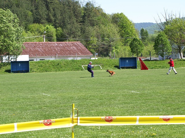 www.atibox.net * www.euroboxer.eu * www.boxergenealogia.eu